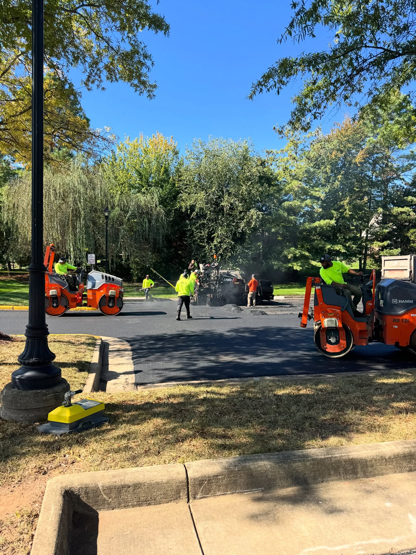 Workers operate paving equipment and roller machines resurfacing a road in a park-like area on a sunny day.